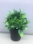 2021 New Black Pot Artificial Plant Plastic Bonsai Office Decorations Living Room Decoration Fake Flower