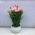 2021 New Artificial Bonsai Potted Green Plastic Flowers Fake Flower Office Living Room Furnishings Hot Sale New with Pots