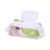 Small Custom Wipes Apple Green 100 Pieces Cover Baby Soft Cleansing Wipes Factory Wholesale