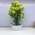 2021 New Plastic Bonsai White Pot Simulation Plant Indoor Exterior Decoration Ornaments