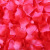 Non-Woven Fabric 1000 Pieces Wedding Supplies Artificial Rose Petals Wedding Ceremony Wedding Room Layout Decorative Wedding Supplies