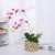 Hand-Feeling Phalaenopsis Emulational Flower Decoration Home Living Room Interior Dining Table Fake Flowers Decorative Single Floral Factory Wholesale