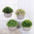 Simulation Baby Tear Plant Bonsai Four-Leaf Clover Office Indoor Grass Fake Flower Pot Table Decoration Greenery Decoration