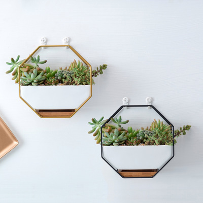 Nordic Simple Octagonal Geometric Wall Hanging Table Ornaments Succulent Platter Ceramic Flower Pot Bamboo Tray Iron Frame Suit