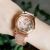 Factory in Stock Roman Scale Watch Women's Watch New Steel Belt Women's Quartz Watch Fashion Rolling Rhinestone Watch