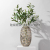 Nordic Creative Modern Light Luxury Transparent Glass Vase Decoration Living Room Flower Arrangement Dried Flower Dining Table TV Cabinet Decorations