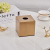 European-Style Metal Tissue Box Light Luxury Living Room Home Crafts Decoration Dining Table Paper Tissue Box Decorations
