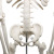 Qinghua 33204 Simulation Human Skeleton Model 85cm 42cm Detachable Medical Biology Teaching Skull Bone