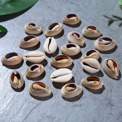 Single Hole Golden Edge Shell Conch Shell Electroplating Punching Shell Teeth Shell Shoes Hat Accessories Edging Shell Spot