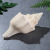 Factory Direct Sales Imported Conch Shells Neptunea Cumingi Amazon AliExpress Supply Conch Crafts Raw Materials Wholesale