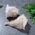 Factory Direct Sales Left-Hand Neptunea Cumingi 17-19cm Large Lucky Fortune Buddhism Worship Super Large Conch Scarcity