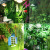 Plant Wall Simulation Moss Green Artificial Moss Moss Micro Landscape Bonsai Landscaping Decoration Material Lawn Grass