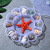 Shell Material Handmade Conch Starfish Specimen Gift Box Children's Marine Life Science Popularization Kindergarten Gifts