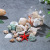 Shell Conch Science Education Intelligence Toy Decoration Crafts Ornament Accessories Children Little Kids Gift Landscaping