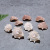 Factory Direct Sales Hermit Crab Natural Wheel Conch Shell Decoration Fish Tank Landscape Conch Shell Flowers Materials