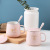 Light Luxury Ins Nordic Ceramic Cup with Cover Spoon Gold Rim Pink Mark Cup Girls' Gifts Large-Capacity Water Cup