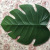 [New Supply] Artificial Plant Placemat Eva Mat Dinner Mat Heat Proof Mat Eva Maple Leaf Monstera Placemat