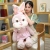Saite Dudu Hot-Selling Beautiful Rabbit Doll Plush Toy Cute Dress Rabbit Doll Girl to Sleep with Gift