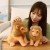 Simulation Lion Toy Plush Doll Animal Ornaments Small Rag Doll Children's Birthday Gifts Boys Style