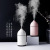 New Small Pattern Humidifier Creative Home Office Mini Aromatherapy Humidifier Car Air Purifier