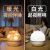 Star Light Projector New Exotic Led Small Night Lamp Children's Birthday Gifts Girls 520 Creative Gifts Ambience LightWholesale