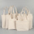 Cotton Blank Portable Canvas Bag Customized Training Class Student Folding Shopping Bag Cotton Bag Spot Custom Logo