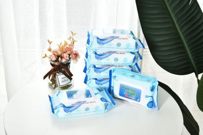 English Version Wet Wipes Wholesale 75% Alcohol Disinfection Wet Wipes 50 Pieces Sterilization Disinfection Wet Wipes
