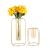 Modern Minimalist Geometric Metal Hydroponic Glass Vase Ornaments Living Room Dried Flowers Flower Container Soft Home Decoration