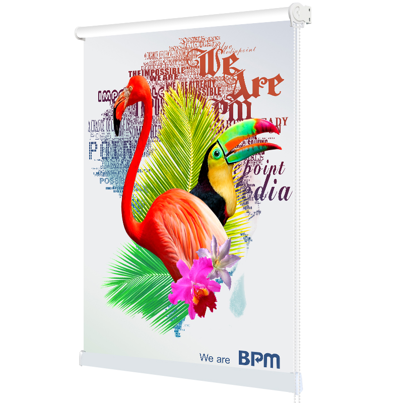 印花卷帘窗帘定制图案ins风北欧简约家用卫生间厨房遮光升降拉帘