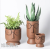 Nordic Flower Pot Ceramic Cartoon Cute Fashion Simple Artistic Personality Vase Dried Flower Room