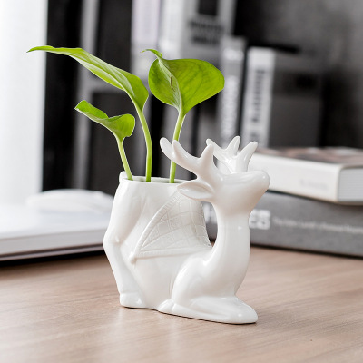 Foreign Trade European Creative Cartoon Hydroponic Flowerpot Ceramic Personality Animal White Porcelain Flower Pot Green Plant Succulents