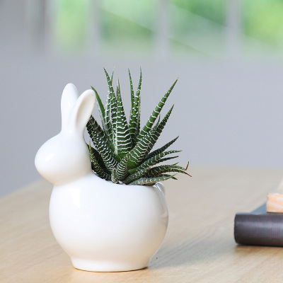 Creative Cartoon Animal Rabbit Succulent Flower Pot European Family Gardening White Porcelain Flower Pot Ceramic Small Size