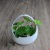 Gardening Wall-Mounted Flower Pot Ceramic Creative Personality Hydrocotyle Chlorophytum Pot Succulent Pots Wholesale with Holes