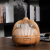 Bird Cage Aroma Diffuser Can Add Essential Oil