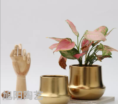 Modern Simple Electroplated Golden Ceramic Flower Pot Home Gardening Creative Succulent Phalaenopsis Flower Pot Hydroponic Flowerpot