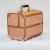 New Rose Gold High-End Fashion Beauty Nail Tattoo Professional Makeup Storage Large Capacity Portable Cosmetic Case