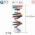 Human Gene DNA Model Spiral Technology Small Production DIY Biology Science Experiment Equipment Science Teaching Aids