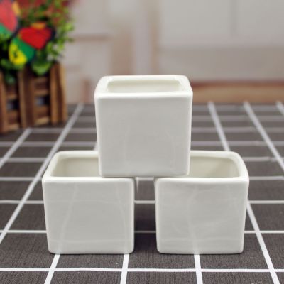 2021 New Wholesale Square Mouth Ceramic Mini Succulent Simulation Plant Ceramic Flower Pot Square Shooting