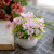 Ceramic Flower Pot Small Balls Succulent Artificial Flower Plant Fake Flower Flower Arrangement Flower Pot Factory Wholesale