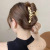 Barrettes Female Summer Back Head Hair Grip Large Hairpin Internet Celebrity 2021new Temperament Fishbone Updo Hair Accessories