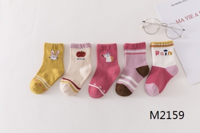 5 Pairs Warm Diary Theme Combed Cotton Girls'socks