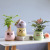 Manufacturer Succulent Flower Pot Macaron Fresh Breathable Creative Personalized And Cute Smile Washbasin Custom Logo