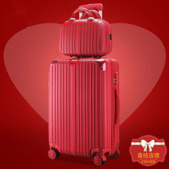 Customized 20-Inch Luggage Trolley Case Luggage Case Boarding Bag Cosmetic Case Folding Box Pet Box with Printed Logo