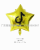 New Hot Sale 18-Inch TikTok TikTok Five-Pointed Star Aluminum Film Balloon Party Festival Internet Celebrity Decorative Aluminum Foil Balloon