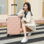 Suitcase 20-Inch Boarding Bag Male and Female College Student Luggage Universal Wheel Trolley Case One Piece Dropshipping