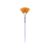 CrossBorder Brush Beauty Facial Treatment Brush FanShaped DIY Beauty Salon Makeup Tools Facial Mask Skin Care Soft Brush