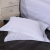 [Sequoia Tree in Stock] Pillowcase Cotton Encryption Pure White Pillow Core Hotel Cloth Product Bedding Hotel Four-Piece Set