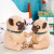 2019 New Cartoon Shar Pei Plush Toys Sitting Style Husky Doll Pillow Doll Children's Birthday Gifts