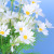 0268 New Artificial Flower Little Daisy Chamomile Bunch of Flowers Bridal Bouquet Wedding Photographic Ornaments