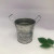 Factory Supply Galvanized Iron Sheet Printing Loge Binaural Flower Pot Vintage Distressed Iron Bucket Domestic Ornaments